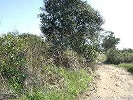 Fotografia 011