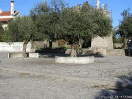 Fotografia interior, exterior e areas envolventes