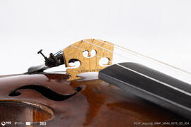 Violino