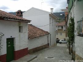 Fotografia 005