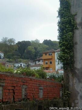 Fotografia 005