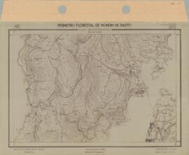 Perímetro Florestal - Planta Aerofogramétrica (1959-04)