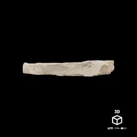 Tijolo com pegada Cão