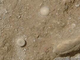 Sondagens  arqueológicas