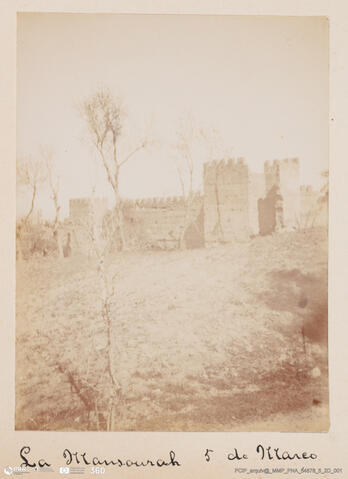 Open original Digital object