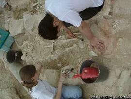 Sondagens  arqueológicas