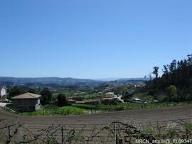 Fotografia 014