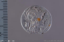 Denarius