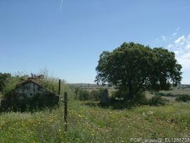 Fotografia 002