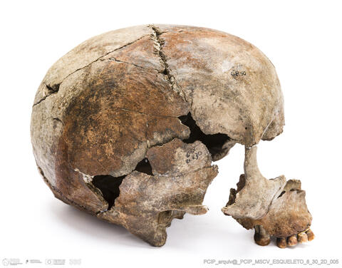 Open original Objeto digital