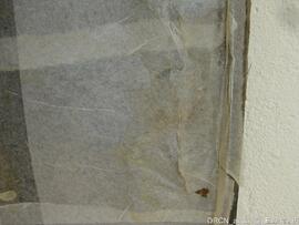 Fotografia 009