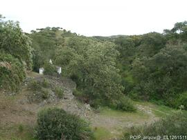 Área envolvente e imediações