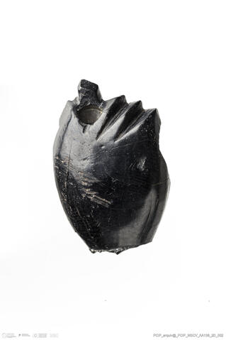 Open original Digital object