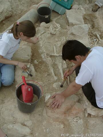 Open original Objeto digital