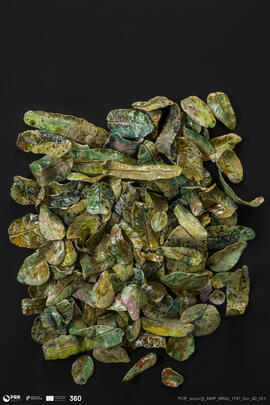 Folhas (instalação)