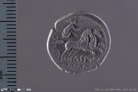 Denarius