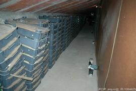Fotografia 011