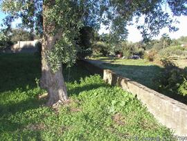 Fotografia interior, exterior e areas envolventes