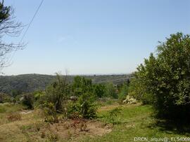 Fotografia 018
