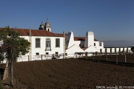 Campo agrícola