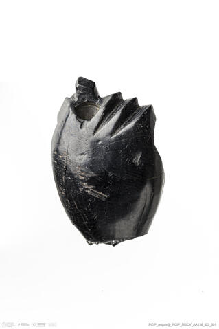 Open original Digital object