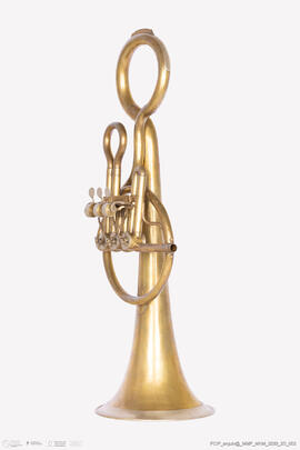 Saxhorn