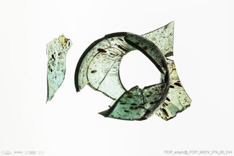 Open original Objeto digital