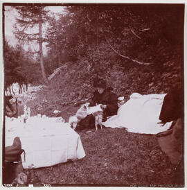 Fotografia - Paisagem - Viagem Reais – Gressoney / pic-nic no campo, mesa posta