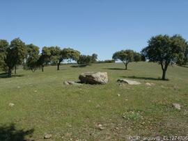 Fotografia 001