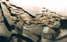 Estado de conservação