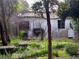 Jardim
