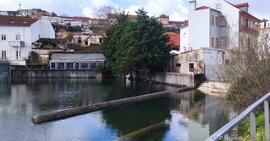 Fotografia 004