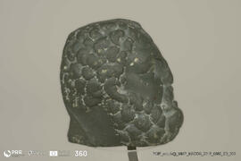 Cabeça de Zeus (Doação Bühler-Brockhaus)