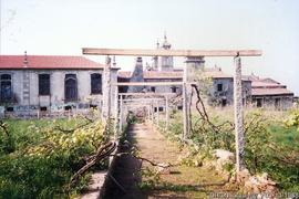 Fotografia 004