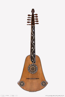 Cítara Campaniforme