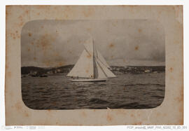 Álbum fotográfico - Fotografias de J. Benoliel oferecido a D. Afonso