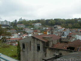 Fotografia 024