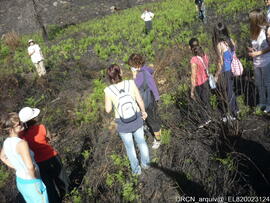 Fotografia 006