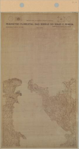 Perímetro Florestal - 3D [s.d.]