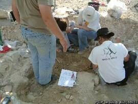 Sondagens  arqueológicas