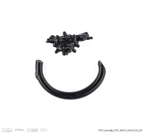 Open original Digital object