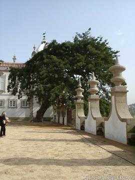 Fotografia 006
