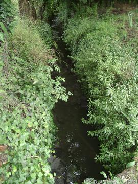 Ribeira de Granja, Ramalde, Lordelo - pormenor do leito no interior da quinta