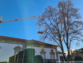 Fotografia 017