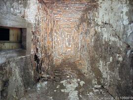 Tecto