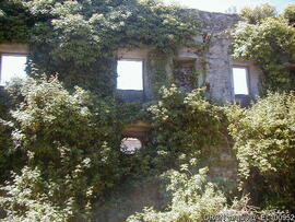 Interior do dormitório antes da limpeza