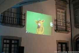 Fotografia 020