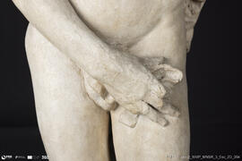 Narciso