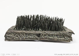 Cardadeira / Sedeiro