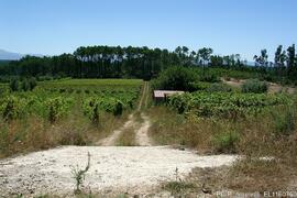 Fotografia do local e imediações